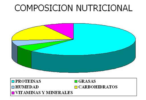 ¿Quieres saber cuál es la composición nutricional de jamón?